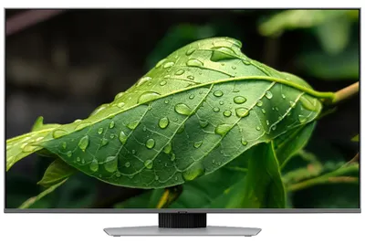 Produktbild von Samsung Q80D 50" QLED 4K Tizen OS™ Smart TV (2024), 127 cm (50"), 3840 x 2160 Pixel, QLED, Smart-TV, WLAN, Silber