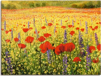 Produktbild von ARTland Leinwandbild Mohnblumenfeld Größe: 120x90 cm
