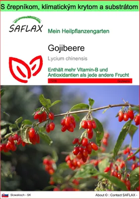 Obrázok produktu pre SAFLAX Garden to go - Gojibeere - Lycium chinensis - 200 Semená - S črepníkom, klimatickým vekom a pestovateľským substrátom