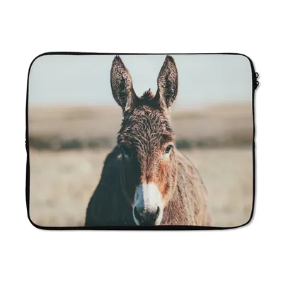 Produktbild von MuchoWow® Laptop Hülle 17 Zoll Laptoptasche Esel - Porträt - Tier - Zipper - Schutzabdeckung
