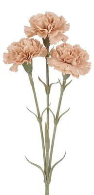 Produktbild von Clayre & Eef Dekoration Ast Rosa Kunststoff