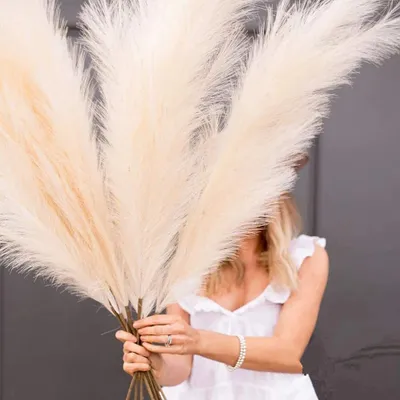 Produktbild von Künstliche Pampasgras,Kunstpflanze, 8Pcs 100 cm,Flauschig Getrocknetes Pampasgras, Feder, Blumenarrangement,  (Beige, 8) Beige