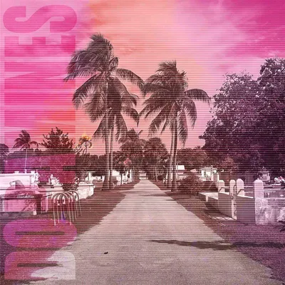 Obrázok produktu pre The Dopamines: 80/20 - 375 Media - (LP / #)