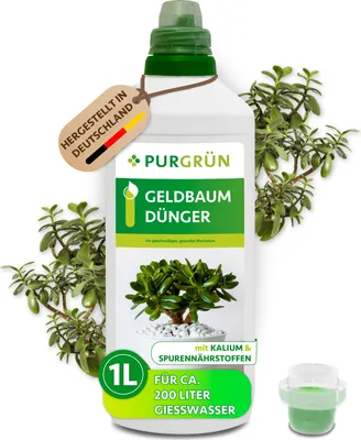 A bottle of fertilizer for jade plants, surrounded by jade plant branches.