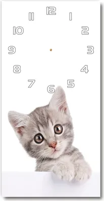 Produktbild von Wanduhr aus Glas – 30x60 cm - Glasbild - Glasuhr - Gehärtetes Glas -Graue Katze