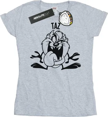 Produktbild von Looney Tunes - T-Shirt für Damen BI27133 (XXL) (Grau)