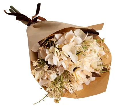 Produktbild von HOMLA Blumenstrauß HORA – künstliche Hortensie in Ecru, 24 x 19 x 34 cm