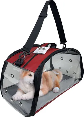 Produktbild von EVE Textile Hunde Katzen Haustier Tragetasche 47x30x30 cm Rot Transparent Umhängetasche Handtasche Faltbar zugelassen von Fluggesellschaften