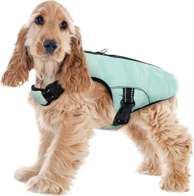 Produktbild von Famanu Hundeweste Kühlend für Sommeraktivitäten - Grün, Größe L