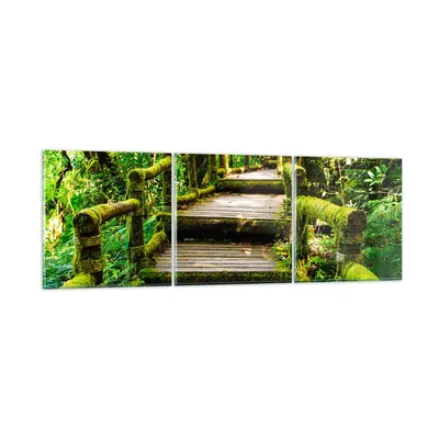 Produktbild von Bilder auf glas - Asien natur park brücke - 150x50cm - Glasbilder - Wandbilder - Kunstdruck - zum Aufhängen bereit - Wanddekoration aus Glas - Glas Bilder - Wandbild auf Glas - GCA150x50-2417