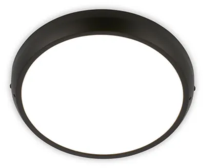 Productafbeelding van BRILONER - LED plafondlamp, IP44, neutraal wit, zwart, 27,5 cm