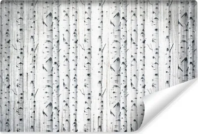 Produktbild von Muralo Vlies Fototapete für Wohnzimmer BIRKEN Bäume Natur Vintage Stil Br. 400cm x Hö. 280cm