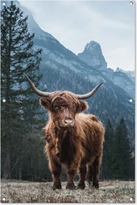 Produktbild von MuchoWow®