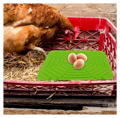 Produktbild von Flexible Nestauflage Grün Atmungsaktive Eierlegematte für Geflügelstall Waschbare Nistboxeinlage Wiederverwendbare Nestauflage für Hühnerstall und Legenester