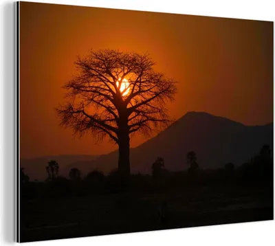 Produktbild von MuchoWow Wanddekoration Metall Metallbild Wandkunst 120x80 cm Oranger Sonnenuntergang hinter einem Baobab-Baum im Lower Zambezi National Park MuchoWow Aluminium Gemälde - Alu Bild