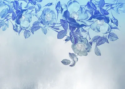 Produktbild von Komar Fototapete Blue Aura Blau - 610024 - 350 x 250 cm