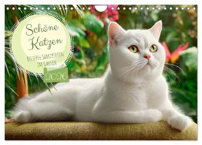 Produktbild von Schöne Katzen. Beliebte Samtpfoten im Garten (Wandkalender 2026 DIN A4 quer), CALVENDO Monatskalender