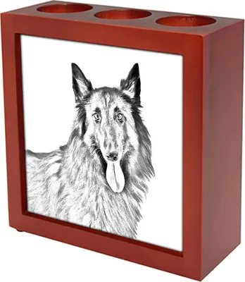 Produktbild von Azawakh I - Stifthalter mit Hund, Schreibtischorganizer mit Aufdruck, personalisierte Schreibtischdekoration der Marke Art-Dog
