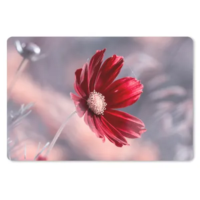 Produktbild von MuchoWow® Mauspad Mousepad Blumen - Rot - Natur - Pflanzen 27x18 cm - Mousepads - Maus Mat - Pad - Mausunterlage - Büroartikel - Desk Matten
