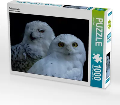 Produktbild von Calvendo Schneeeule 1000 Teile Puzzle quer 640x480mm, Klatt Arno; 7292633