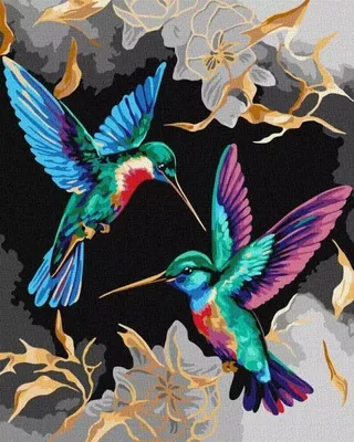 Produktbild von Malen nach Zahlen. Der Tanz des Kolibris mit zusätzlichen Metallic-Farben