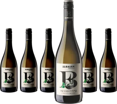 Produktbild von 6 x Emil Bauer & Söhne Nussdorfer Chenin Blanc