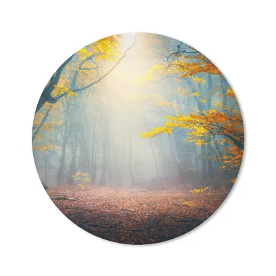 Produktbild von MuchoWow® Mauspad Mousepad Wald - Nebel - Herbst 50x50 cm - Mousepads - Maus Mat - Pad - Mausunterlage - Vinyl