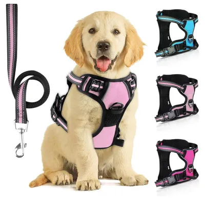 Immagine prodotto di Imbracatura per cani con guinzaglio, riflettente, rosa, taglia S