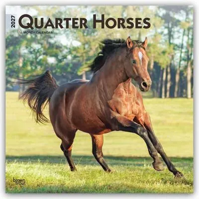 Obrázok produktu pre Quarter Horses – Kalendár na rok 2027 (formát: 16-mesačný)