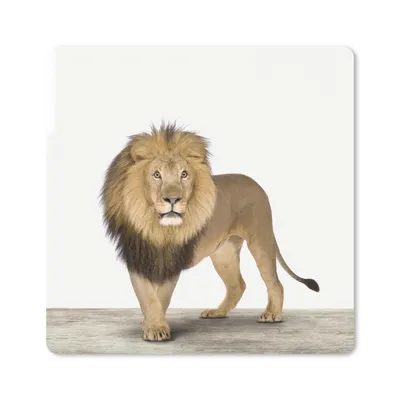 Produktbild von MuchoWow® Mauspad Mousepad Tiere - Löwe - Weiß 20x20 cm - Mousepads - Maus Mat - Pad - Mausunterlage - Desk Mat - Bureauartikeln