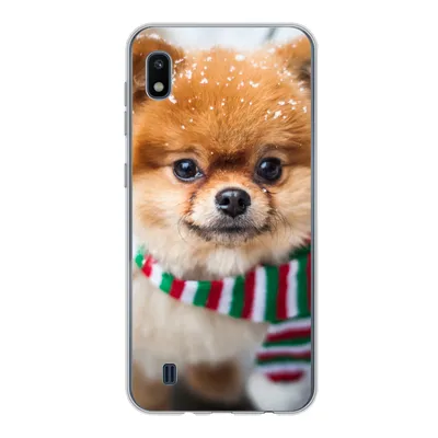 Produktbild von MuchoWow® Handyhülle Schutzhülle Hülle für Samsung Galaxy A10 Hund - Halstuch - Schnee Silikon Softcase Handy Hülle - Schutzhülle
