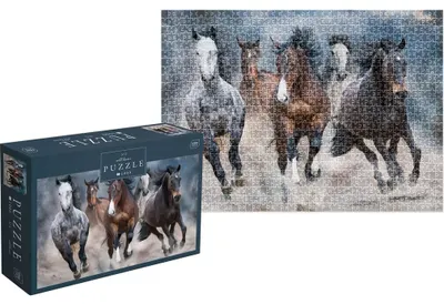 Produktbild von INTERDRUK Puzzle Wild Horses 3: Pferde klappern 1000 dlps