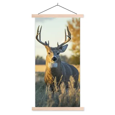 Produktbild von MuchoWow® Textilposter Hirsche - Gras - Herbst - Geweih - Natur - Tiere 60x120 cm mit holzfarbenen Rahmen - Holz