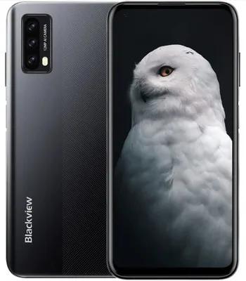 A smartphone is shown from the front and back, with a close-up of a snowy owl on the screen.