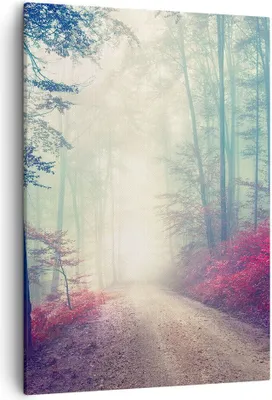 Produktbild von Bild auf Leinwand - Leinwandbild - Einteilig - Wald Baum Natur - 50x70cm - Wand Bild - Wanddeko - Wandbilder - Leinwanddruck - Kunstdruck - Wanddekoration - Leinwand bilder - Wandbild - PA50x70-3667