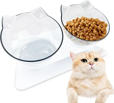 Produktbild von Erhöhter Katzennapf mit doppeltem transparentem Napf + Ständer, Wasser und Futter