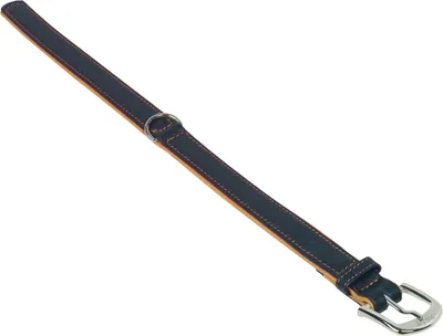 Produktbild von Nobby Pacific, Hund, Standardkragen, Schwarz, Orange, Leder, XS, 20 cm