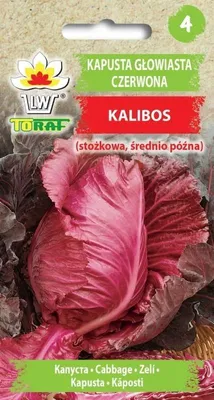 Zdjęcie produktu dla Kapusta głowiasta czerwona KALIBOS stożkowa nasiona 2g Toraf 95