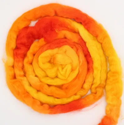 A top-down view of a coiled bundle of wool roving.