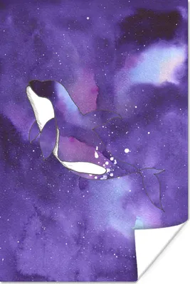 Produktbild von MuchoWow® Poster Orca - Farbe - Tiere - Lila 80x120 cm - Papierdruck