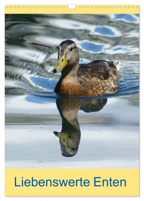 Produktbild von Liebenswerte Enten (Wandkalender 2027 DIN A3 hoch), CALVENDO Monatskalender
