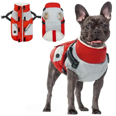 Immagine prodotto di Cappotto per cani, colore rosso, taglia S, impermeabile, imbottito, caldo