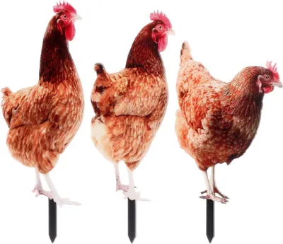 Produktbild von 3er Set Acryl Huhn Gartenstecker Gartendeko Rasenfigur Hof-Dekoration