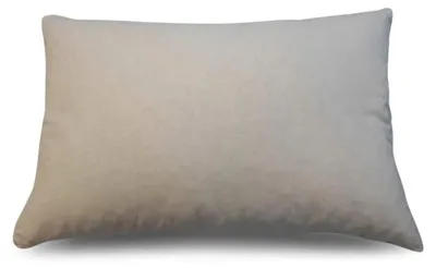 Productafbeelding van Wasbaar Kussen met 100% Katoenen Hoes, 50 x 55 cm