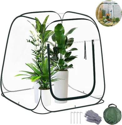 Productafbeelding van Famanu Mini-kas voor planten - 98 x 98 x 98 cm, transparant, zonder montage