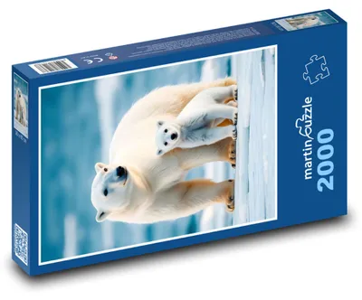 Obrázok produktu pre martinpuzzle - Puzzle 2000 - Polárna sova - mláda