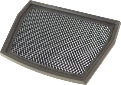 Produktbild von Luftfilter für Aprilia Dorsoduro 1200 Baujahr 2011-2013 von OEM - Neu