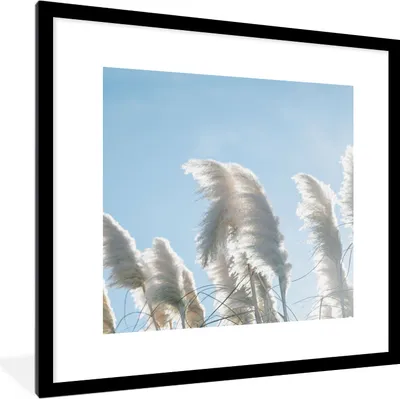 Produktbild von MuchoWow® Gerahmtes Poster Himmel - Gras - Pampasgras 40x40 cm - Poster mit Schwarzem Bilderrahmen Wandposter Rahmen Foto Bilder - Poster - Plakat im Rahmen