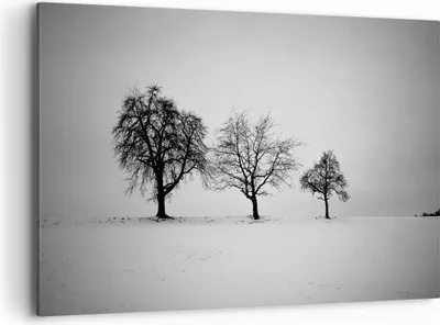 Produktbild von Bild auf Leinwand - Leinwandbild - Einteilig - Winter Bäume Schnee - 120x80cm - Wand Bild - Wanddeko - Wandbilder - Leinwanddruck - Bilder - Wanddekoration - Leinwand bilder - Wandbild - AA120x80-4958