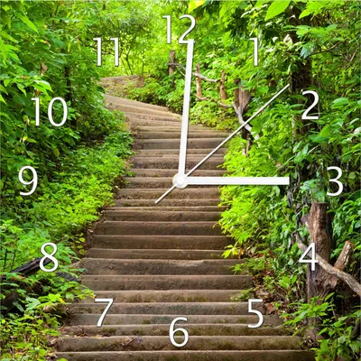 Produktbild von Wallario Design Wanduhr Steintreppe im Wald aus Echtglas, Größe 30 x 30 cm